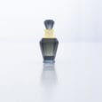 perfume anfas al khaleej & PERFUME ANTONIO DMETRI (74)