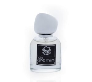 gemini - mini