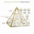DEEP OCEAN perfume pyramid-min